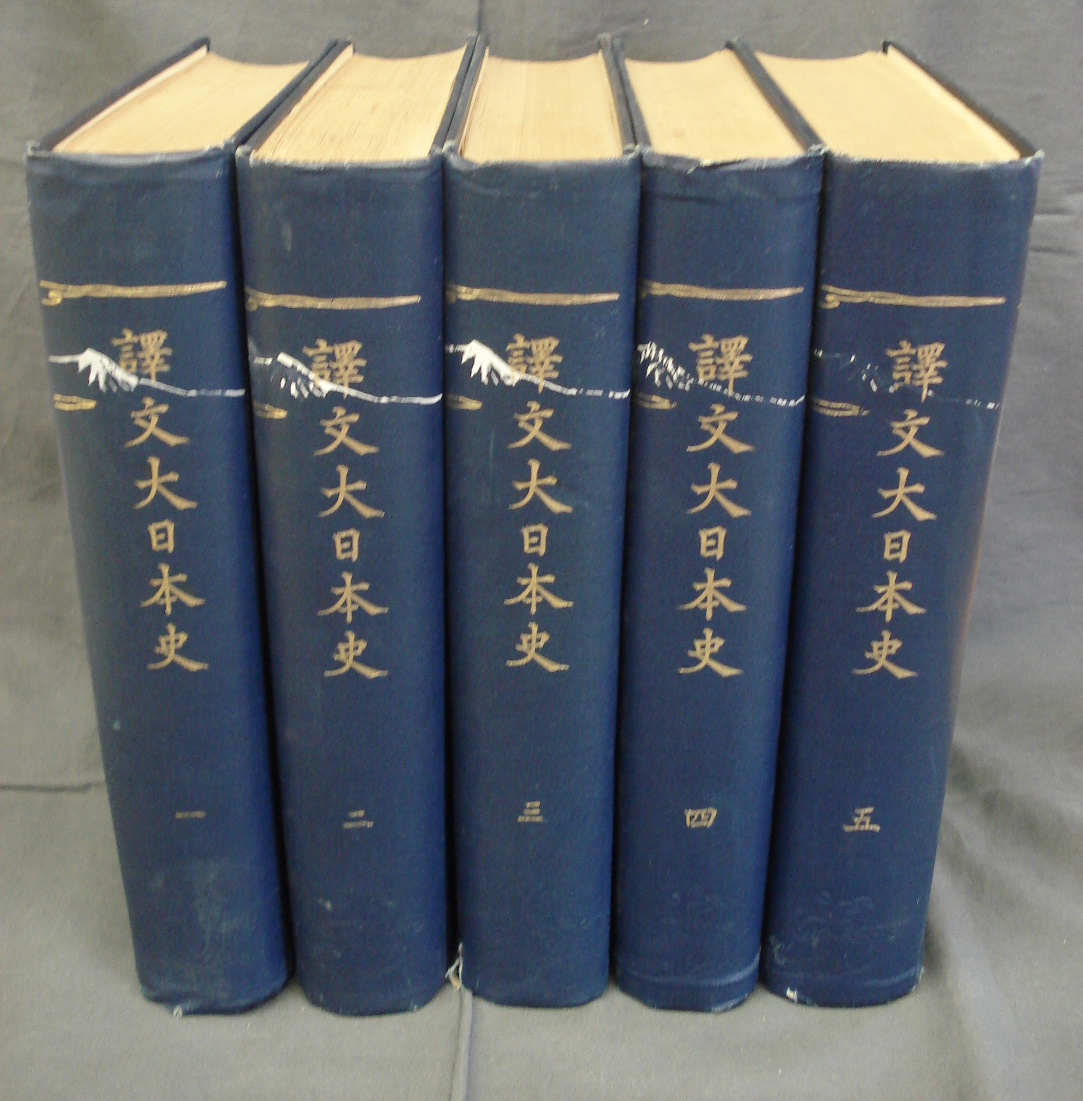 譯文大日本史（全5）(山路彌吉（山路愛山）訳) / 古本、中古本、古