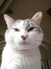 DSC00083.JPG