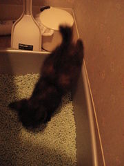 DSC02353.JPG