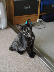 DSC02421.JPG