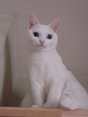 DSC02589.JPG