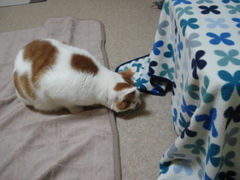 DSC02635.JPG