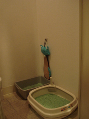 DSC02738.JPG