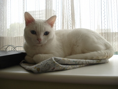 DSC02748.JPG