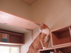 DSC02812.JPG