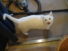 DSC02920.JPG