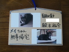 DSC03140.JPG