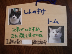 DSC03173.JPG