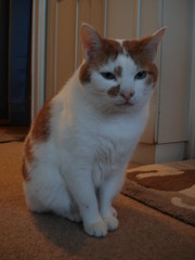 DSC03257.JPG