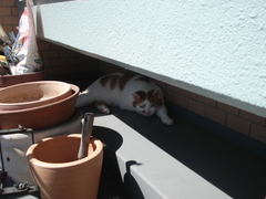 DSC03450.JPG