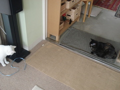 DSC03477.JPG