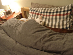 DSC03596.JPG