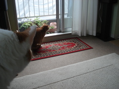 DSC03723.JPG