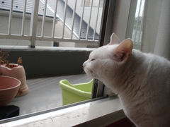 DSC03811.JPG