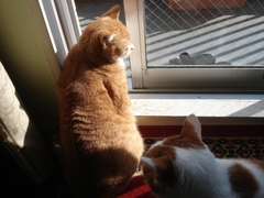 DSC03847.JPG