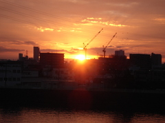 DSC03901.JPG
