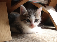 DSC04131.JPG